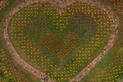 FOTO: Wisata Alam Taman Kincir Warna-Warni di Tasikmalaya