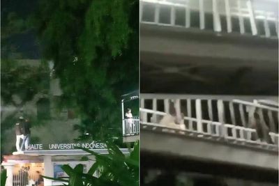 Satpol PP Tangkap Skateboarder yang Bermain di Atas Halte UI dan JPO Jakarta
