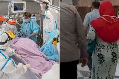 POPULER: Pasien Covid-19 Ereksi 3 Jam hingga Sosok Pelaku Pelempar Botol ke Mulut Kuda Nil
