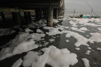FOTO: Busa Putih di Pantai Kenjeran Surabaya