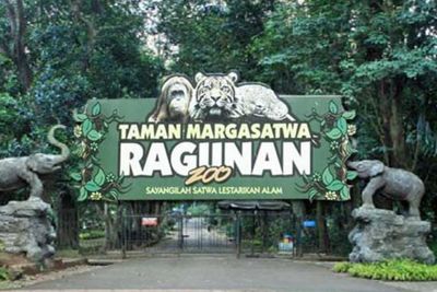 Taman Margasatwa Ragunan Bisa Dikunjungi Besok, Lansia Dilarang Masuk