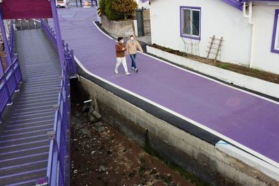 Potret Purple Island, Objek Wisata Serba Warna Ungu di Korea Selatan