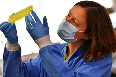 Varian Baru Virus Corona yang Masuk Indonesia Sejak Awal Tahun Sulit Terdeteksi