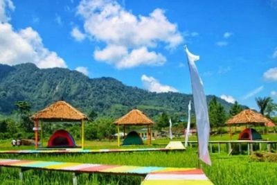 Kabupaten Langkat Sumut Buka Wisata Tidur Sawah, Indah dan Sejuk