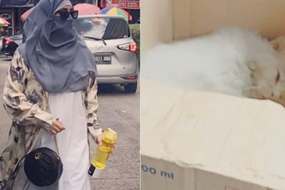 Umi Pipik Sedih Saksikan Momen Kematian Kucing yang Jadi Korban Tabrik Lari: Hati Tersayat