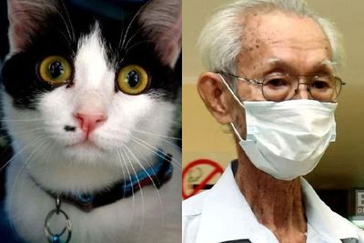 Kucing Bernama Baby Ini Dibawa ke Pengadilan Sebagai Saksi Atas Penyiksaan Pria 79 Tahun