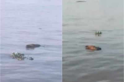 Geger, Warga Temukan Mayat Pria Mengapung di Sungai Mahakam, Sudah Hilang Berhari-hari