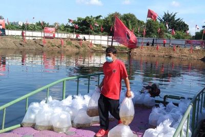 Mendadak PDIP Batalkan Rencana Penebaran Ribuan Benih Ikan Air Tawar di Waduk Rawa Lindung