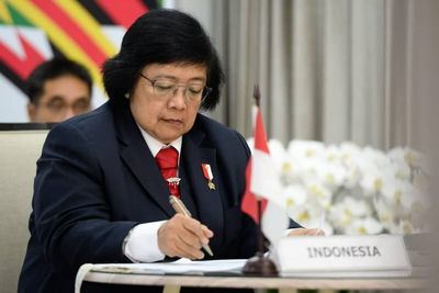 Bukan karena Hutan Gundul, Menteri LHK Beberkan Penyebab Banjir Kalsel Karena Hal Ini