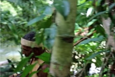 Tubuh Dicincang, 3 Orang Tewas Diduga Dipanah Suku Togutil di Hutan Pedalaman Halmahera