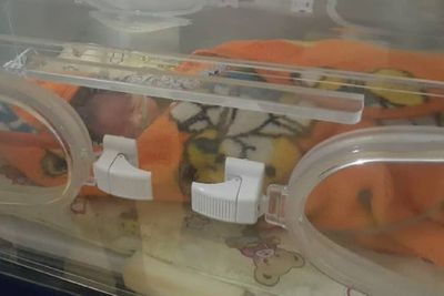 Geger, Warga Temukan Bayi Laki-laki di Dalam Kardus di Loteng, Diduga Hasil Hubungan Gelap