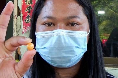 Beli Siput Seharga Rp 30 Ribu, Wanita di Thailand Ini Menemukan Mutiara Oranye
