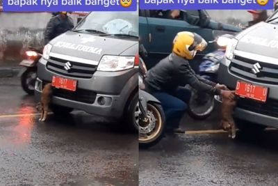 Pengendara Motor Nekat Hadang Ambulans karena Lihat Kucing Terjepit di Bemper Mobil