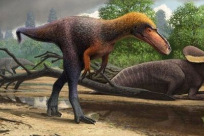 Suskityrannus hazelae, Nenek Moyang T-Rex yang Ukurannya Lebih Kecil