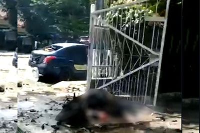 Perhimpunan Mahasiswa Katolik Kutuk Keras Aksi Bom Bunuh Diri di Gereja Katedral Makassar