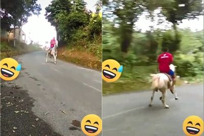 Penunggang Pacu Kudanya Meluncur di Jalanan Aspal Turunan, Netizen Kasihan sama Kakinya