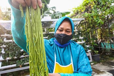 FOTO: Membuat Mie dengan Pewarna Sayuran Hidroponik