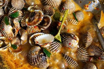 Begini Loh Cara Mudah Membuat Kerang Dara Kuah Pedas Gurih
