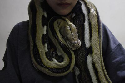 FOTO: Pameran Reptil Peliharaan di Karanganyar