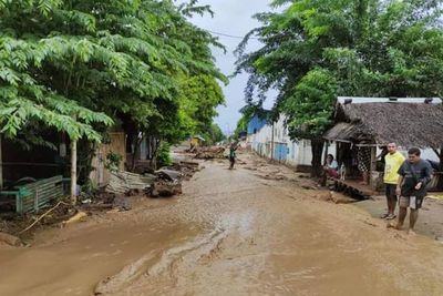 Ratusan Hektare Sawah di Sabu Raijua NTT Terendam Banjir