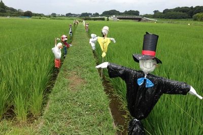 Asal-usul Orang-orangan Sawah, Sudah Digunakan Sejak Ribuan Tahun Silam