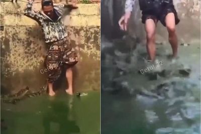 Bikin Merinding, Pria Ini Masuk ke Kolam yang Dipenuhi Buaya, Netizen: Uji Nyali
