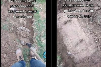 Dikira Harta Karun, Ternyata Kotak Beton yang Digali Pria Ini Septic Tank Rumahnya