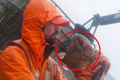 Nelayan di Alaska Tangkap Monster Laut Punya Bentuk Seram, Sempat Berpose untuk Foto