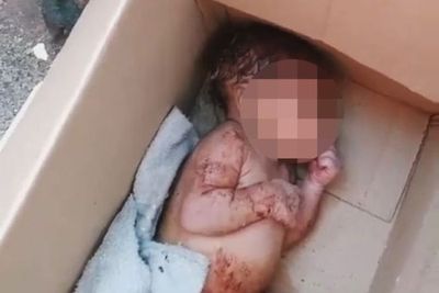 Wanita Ini Temukan Bayi Baru Lahir yang Ditinggalkan di Kotak saat Hendak Pergi ke Gereja