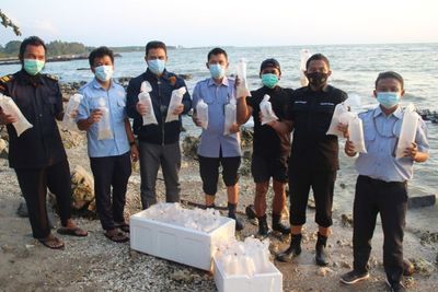 Polda Banten Ciduk Pelaku Penyelundupan 12 Ribu Benih Lobster