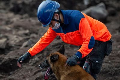 Anjing K9 Dinilai Efektif Temukan Jenazah Korban Bencana NTT