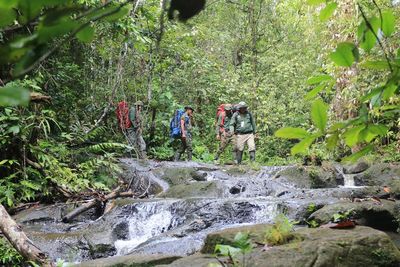 FOTO: Patroli Perlindungan Satwa Liar di Kawasan Ekosistem Leuser