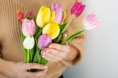 Ternyata Bunga Tulip Berasal dari Turki, Bukan Belanda