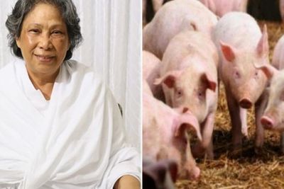 Daftar Ajaran Lia Eden, Halalkan Daging Babi dengan Alasan Penyakit Flu Burung dan Antraks