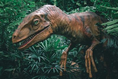 Neuralink Berencana Bangun Jurassic Park Sendiri 15 Tahun yang Akan Datang!
