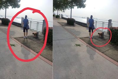 Anjingnya Meninggalkan Kotoran di Taman, Wanita Ini Dikecam Netizen