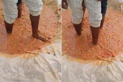 Viral Video Pria Injak-injak Tomat Diduga sedang Bikin Sambal, Netizen Jijik
