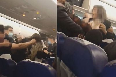 Viral, Perkelahian Penumpang Pesawat Sampai Tarik-tarikan Rambut