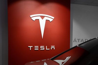 Pabrik Mobil Tesla di Nevada Disebut Ancam Rumah Puluhan Ribu Kuda Liar!