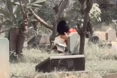 Sosok Bocah yang Ziarah Sendirian Sambil Baca Yasin, Bikin Netizen Terenyuh