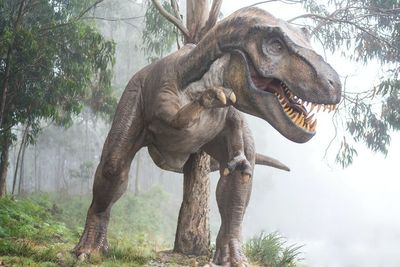 Hasil Studi Terbaru Ungkap Ada 2,5 Miliar T-Rex yang Pernah Hidup di Bumi