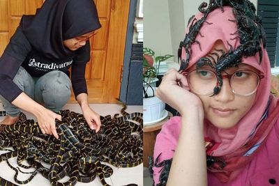 Viral Video Cewek Gendong Puluhan Ular Berbisa Bikin Merinding