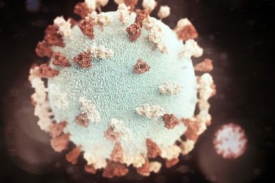 Masih Aman, Virus Varian Baru dari Brasil dan Afsel Belum Ditemukan di Indonesia.