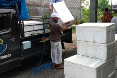 KKP Beri Bantuan 2,3 Juta Benur Udang ke Petambak di Tuban Jatim