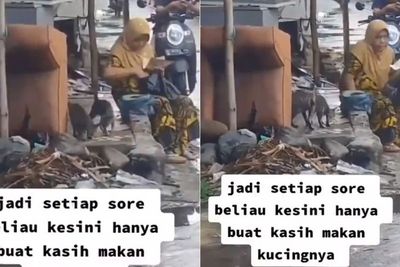 Salut! Ibu Ini Tetap Rajin Ngasih Makan Kucing Kampung Meski Sudah Pindah Rumah