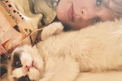 Taylor Swift Bersikeras bahwa Kucingnya Tidak HIlang, Tapi...