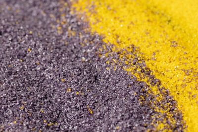 Studi Ini Ungkapkan Kompleksitas Pencemaran Mikroplastik!