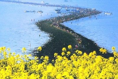 Fenomena Unik di Laut Jindo, Korea Selatan yang Terbelah Setahun Sekali