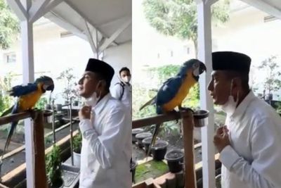 Cara Gubsu Edy Rahmayadi Tunggu Waktu Berbuka Puasa: Bermain Bersama Burung Peliharaan
