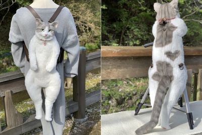 Tas Punggung Kucing Ini Bisa Jadi Alternatif Buat Kamu yang Tak Bisa Memelihara Kucing
